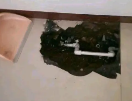 呼图壁卫生间测漏水多少钱